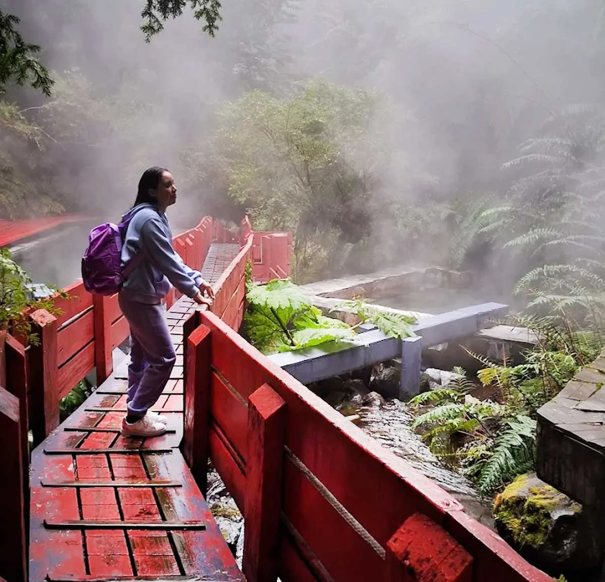 Viajero de Xturismo en Pucón, Huilo Huilo, Termas y Centro de Montaña Pillán