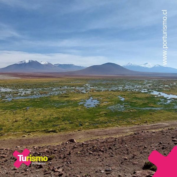 Paquete de viaje a San Pedro de Atacama Chile y Salar de Uyuni Bolivia20251010_0012